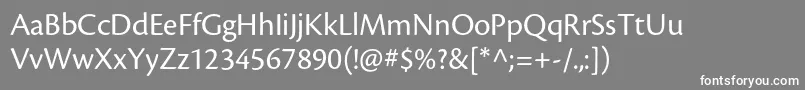 CronosproSubh Font – White Fonts on Gray Background