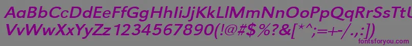 Шрифт UrwgrotesktextwidOblique – фиолетовые шрифты на сером фоне