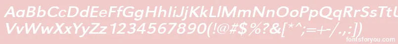 UrwgrotesktextwidOblique Font – White Fonts on Pink Background