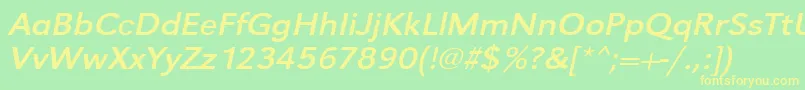 UrwgrotesktextwidOblique Font – Yellow Fonts on Green Background
