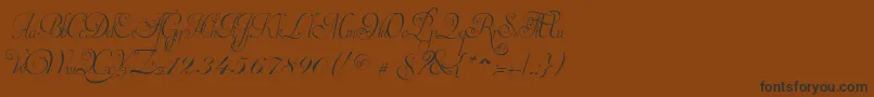 InvitationScriptLimitedFreeVersion Font – Black Fonts on Brown Background