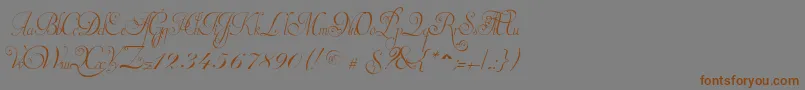 InvitationScriptLimitedFreeVersion Font – Brown Fonts on Gray Background