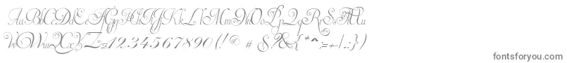 InvitationScriptLimitedFreeVersion-fontti – harmaat kirjasimet valkoisella taustalla