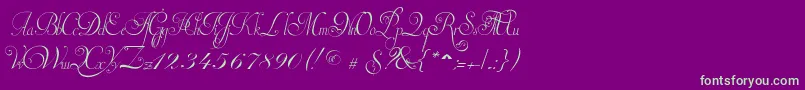fuente InvitationScriptLimitedFreeVersion – Fuentes Verdes Sobre Fondo Morado