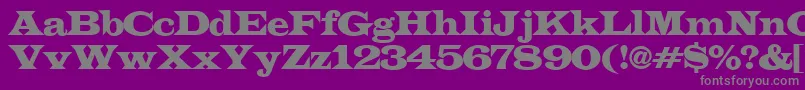 LatinoexpRegular Font – Gray Fonts on Purple Background