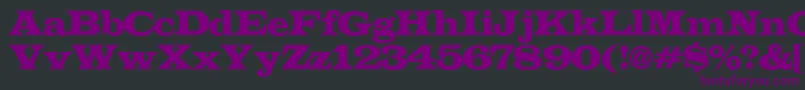 LatinoexpRegular Font – Purple Fonts on Black Background