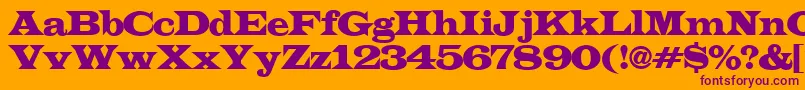 LatinoexpRegular Font – Purple Fonts on Orange Background