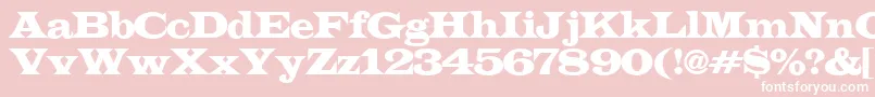 フォントLatinoexpRegular – ピンクの背景に白い文字