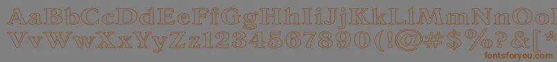 AntiquaHw Font – Brown Fonts on Gray Background