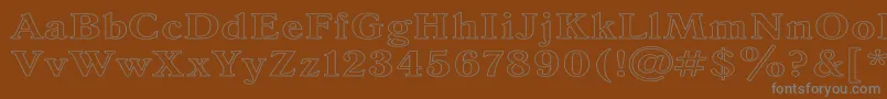 AntiquaHw Font – Gray Fonts on Brown Background