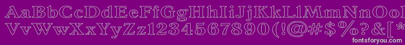 AntiquaHw Font – Green Fonts on Purple Background