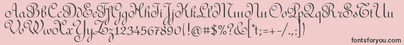 RedondafancyitcTt Font – Black Fonts on Pink Background