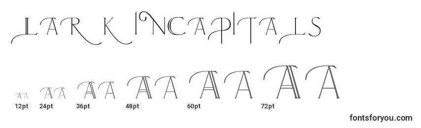 Размеры шрифта LarkinCapitals