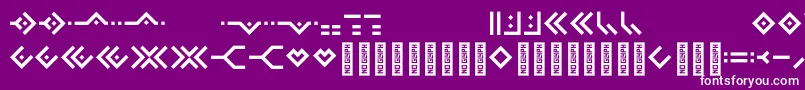 Omnicsans Font – White Fonts on Purple Background