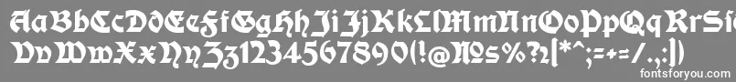 フォントModerneFetteSchwabacher – 灰色の背景に白い文字