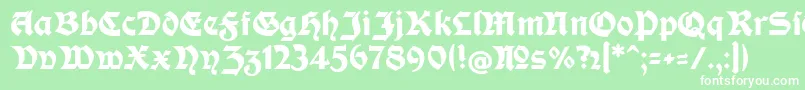 ModerneFetteSchwabacher Font – White Fonts on Green Background