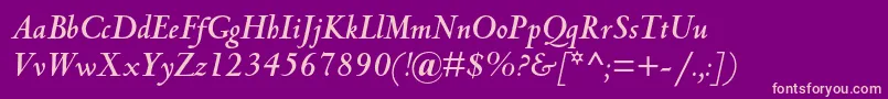 CentaurmtstdBolditalic-Schriftart – Rosa Schriften auf violettem Hintergrund