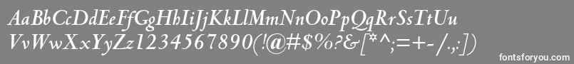 フォントCentaurmtstdBolditalic – 灰色の背景に白い文字