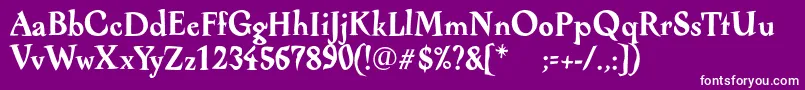 AlcoholicaBold Font – White Fonts on Purple Background