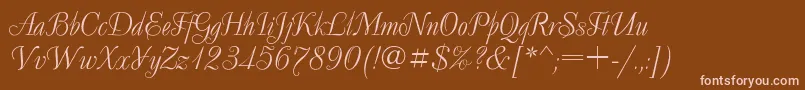 Decor Font – Pink Fonts on Brown Background