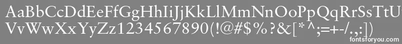 フォントSabonc – 灰色の背景に白い文字