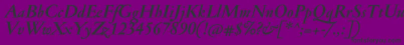 JannonmedBolditalic Font – Black Fonts on Purple Background