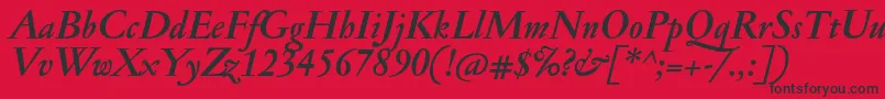 JannonmedBolditalic Font – Black Fonts on Red Background
