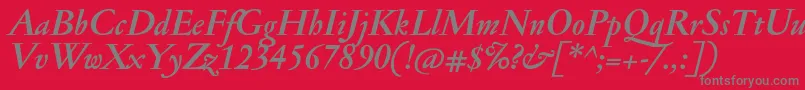 JannonmedBolditalic Font – Gray Fonts on Red Background