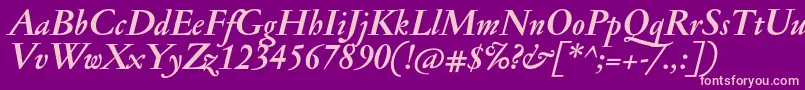 JannonmedBolditalic Font – Pink Fonts on Purple Background