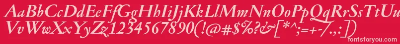 JannonmedBolditalic Font – Pink Fonts on Red Background