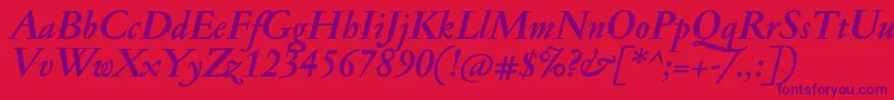 JannonmedBolditalic Font – Purple Fonts on Red Background
