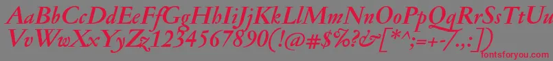 JannonmedBolditalic Font – Red Fonts on Gray Background