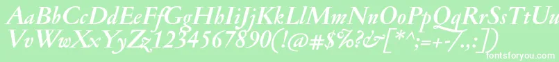 fuente JannonmedBolditalic – Fuentes Blancas Sobre Fondo Verde
