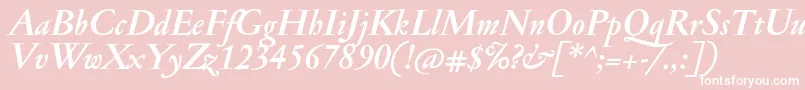JannonmedBolditalic Font – White Fonts on Pink Background