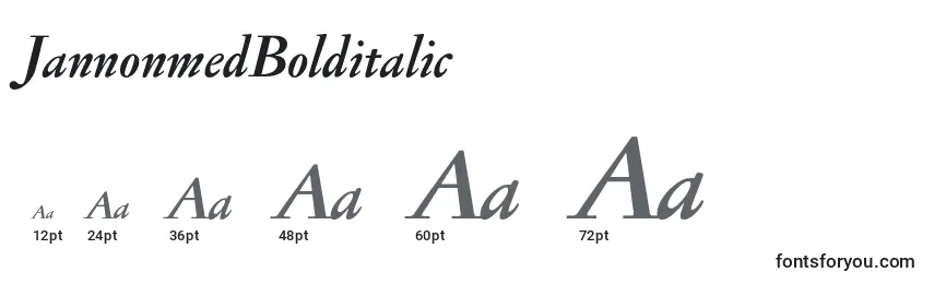 JannonmedBolditalic Font Sizes
