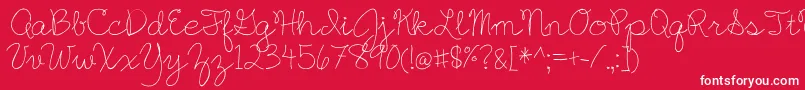 BmdEnglishEssay Font – White Fonts on Red Background