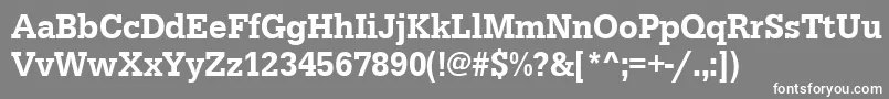 Urwegyptiennetmedextnar Font – White Fonts on Gray Background