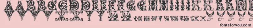 Floralmajuscules Font – Black Fonts on Pink Background