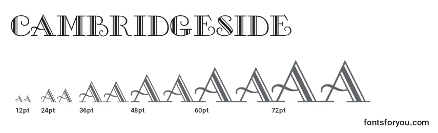 Cambridgeside Font Sizes