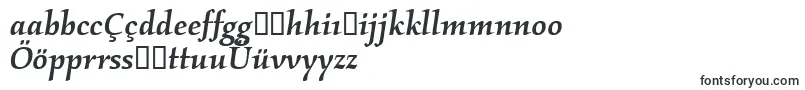 KallosmditcTtMediumitalic Font – Turkish Fonts