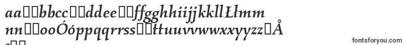 Шрифт KallosmditcTtMediumitalic – польские шрифты