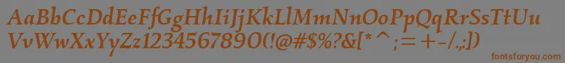 フォントKallosmditcTtMediumitalic – 茶色の文字が灰色の背景にあります。