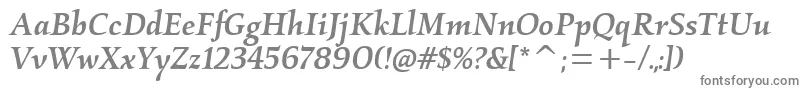 Шрифт KallosmditcTtMediumitalic – серые шрифты