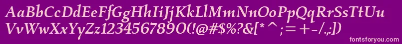 KallosmditcTtMediumitalic-Schriftart – Rosa Schriften auf violettem Hintergrund