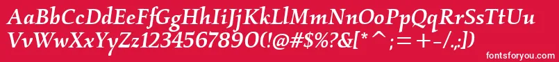 KallosmditcTtMediumitalic-Schriftart – Weiße Schriften auf rotem Hintergrund