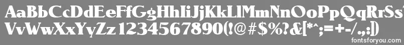 NevadaserialHeavyRegular Font – White Fonts on Gray Background