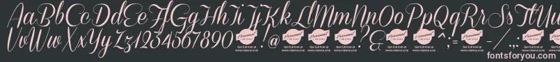DemoConeriascript Font – Pink Fonts on Black Background