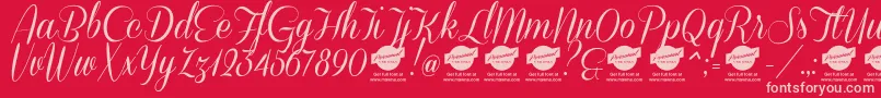 DemoConeriascript Font – Pink Fonts on Red Background