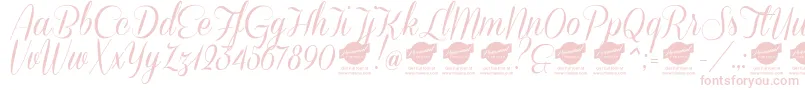 DemoConeriascript Font – Pink Fonts on White Background