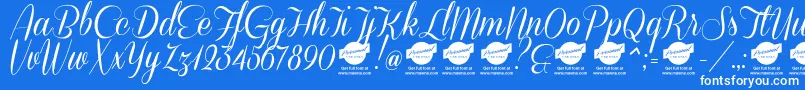 DemoConeriascript Font – White Fonts on Blue Background